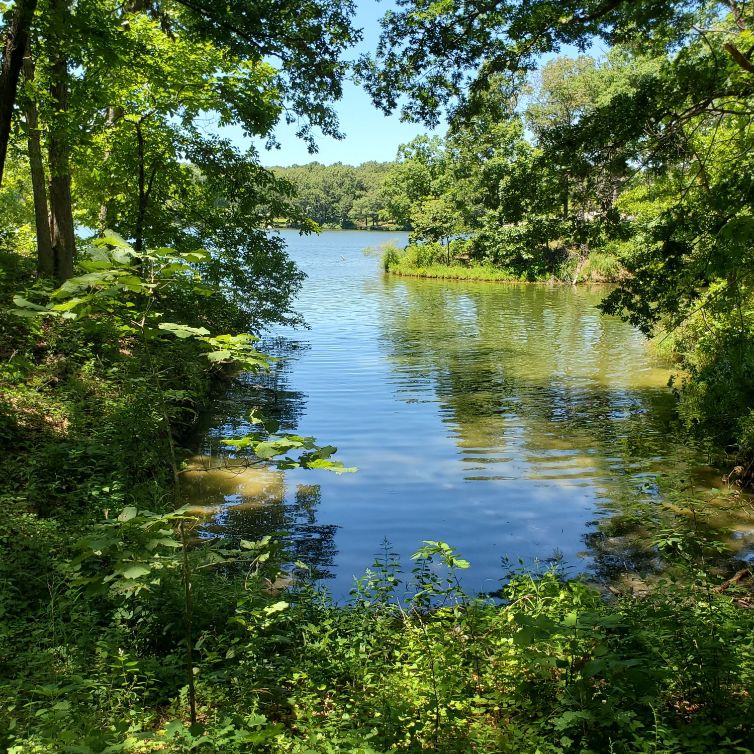 Henry Ellers Shoal Creek Preserve 